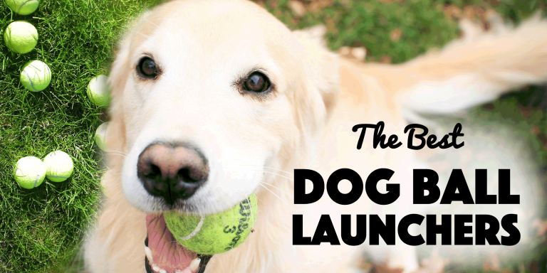 Best Ball Thrower Dog Toy