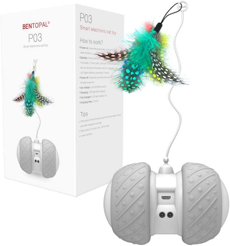 Cute Cat Toys For Your Cat